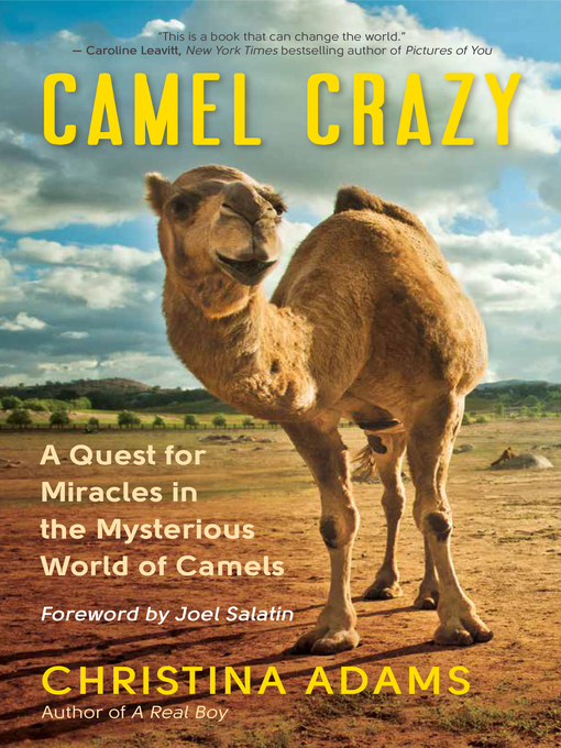 Title details for Camel Crazy by Christina Adams - Available